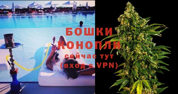 Альфа ПВП Аркадак