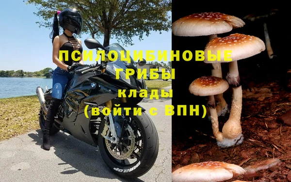 ALPHA PVP Арсеньев