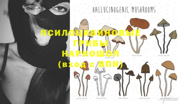 Альфа ПВП Аркадак