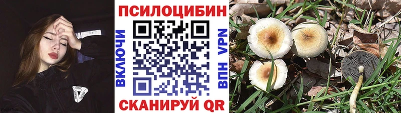 где продают наркотики Нытва kraken онион Псилоцибиновые грибы Magic Shrooms